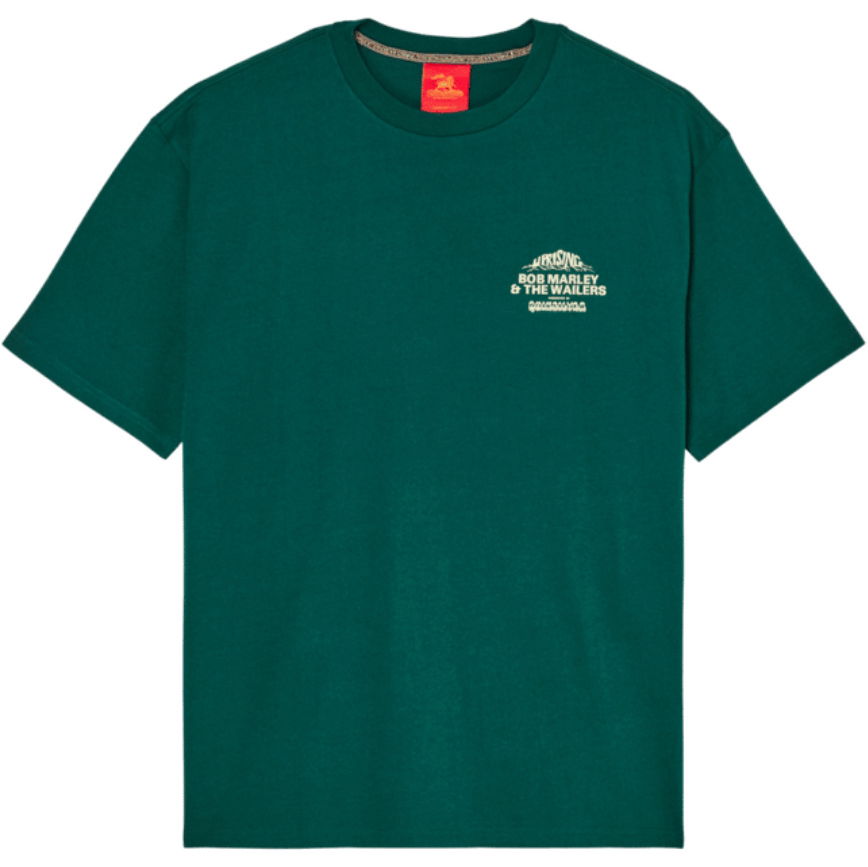 2026 Quiksilver Mens BM Concert T-Shirt EQYZT08489 - Botanical Garden